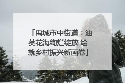 禹城市中街道：油葵花海绚烂绽放 绘就乡村振兴新画卷