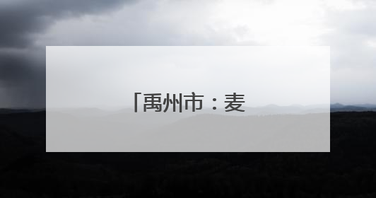 禹州市：麦罢抢种急