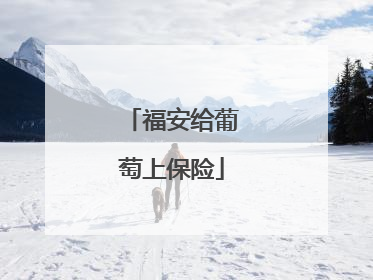 福安给葡萄上保险