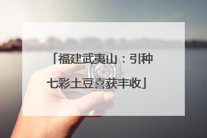 福建武夷山：引种七彩土豆喜获丰收