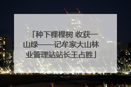 种下棵棵树 收获一山绿——记牟家大山林业管理站站长王占胜