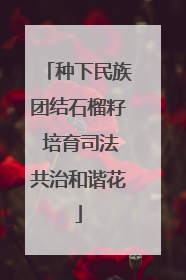 种下民族团结石榴籽 培育司法共治和谐花