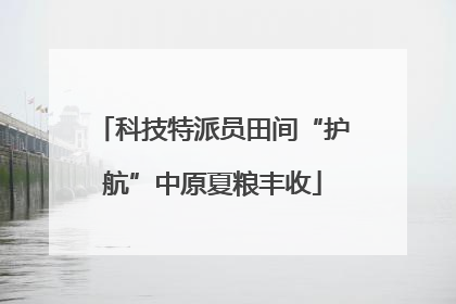 科技特派员田间“护航”中原夏粮丰收