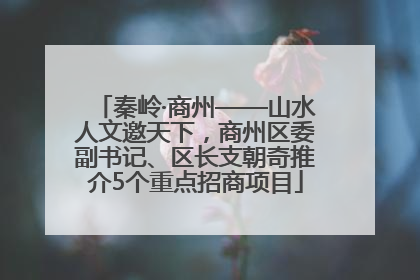 秦岭·商州——山水人文邀天下，商州区委副书记、区长支朝奇推介5个重点招商项目