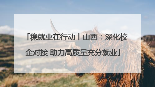 稳就业在行动丨山西：深化校企对接 助力高质量充分就业