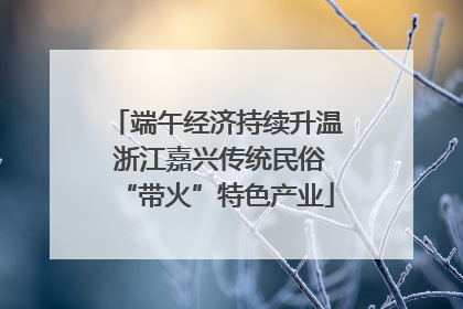 端午经济持续升温 浙江嘉兴传统民俗“带火”特色产业