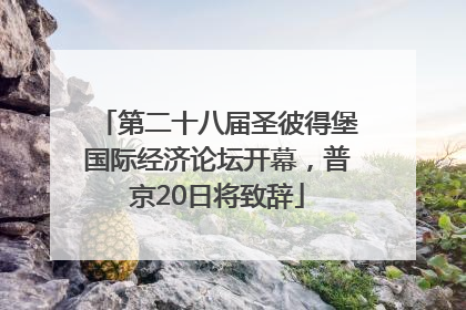 第二十八届圣彼得堡国际经济论坛开幕，普京20日将致辞