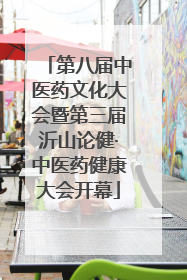 第八届中医药文化大会暨第三届沂山论健·中医药健康大会开幕