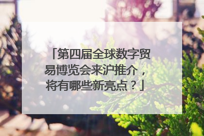 第四届全球数字贸易博览会来沪推介，将有哪些新亮点？