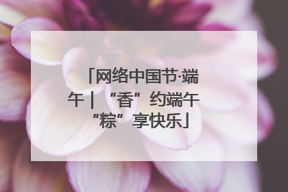 网络中国节·端午｜“香”约端午 “粽”享快乐