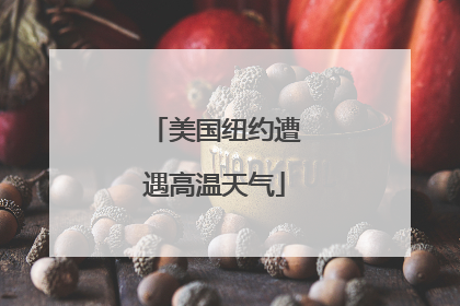 美国纽约遭遇高温天气