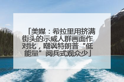 美媒：希拉里用挤满街头的示威人群画面作对比，嘲讽特朗普“低能量”阅兵式观众少