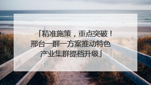 精准施策，重点突破！邢台一群一方案推动特色产业集群提档升级