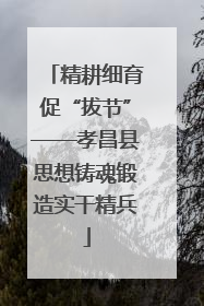 精耕细育促“拔节”——孝昌县思想铸魂锻造实干精兵