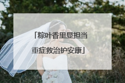 粽叶香里显担当 重症救治护安康