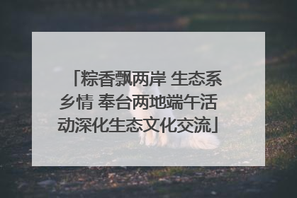 粽香飘两岸 生态系乡情 奉台两地端午活动深化生态文化交流