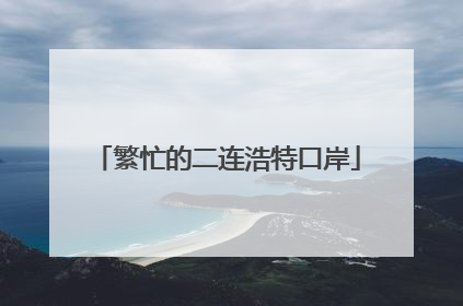 繁忙的二连浩特口岸