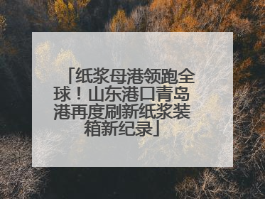 纸浆母港领跑全球！山东港口青岛港再度刷新纸浆装箱新纪录