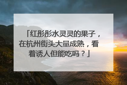 红彤彤水灵灵的果子，在杭州街头大量成熟，看着诱人但能吃吗？