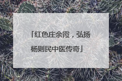 红色庄余霞，弘扬杨则民中医传奇
