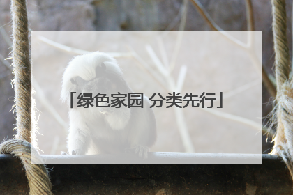 绿色家园 分类先行