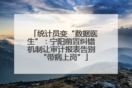 统计员变“数据医生”：宁阳前置纠错机制让审计报表告别“带病上岗”