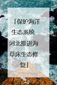 保护海洋生态系统 河北推进海草床生态修复