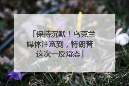 保持沉默！乌克兰媒体注意到，特朗普这次一反常态