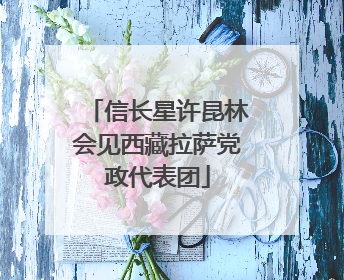 信长星许昆林会见西藏拉萨党政代表团