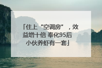 住上“空调房”，效益增十倍 奉化95后小伙养虾有一套