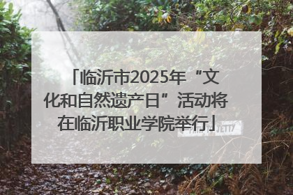 临沂市2025年“文化和自然遗产日”活动将在临沂职业学院举行