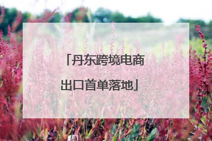 丹东跨境电商出口首单落地