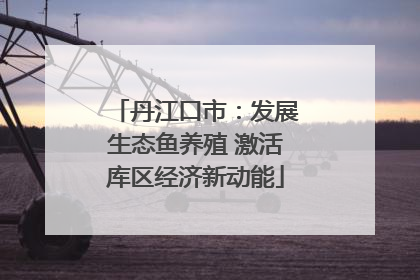 丹江口市：发展生态鱼养殖 激活库区经济新动能
