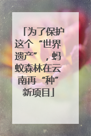 为了保护这个“世界遗产”，蚂蚁森林在云南再“种”新项目