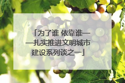 为了谁 依靠谁——扎实推进文明城市建设系列谈之一