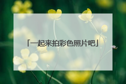 一起来拍彩色照片吧