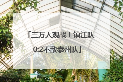 三万人观战！镇江队0:2不敌泰州队