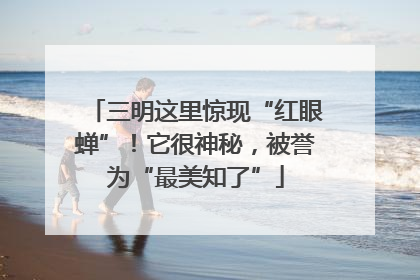三明这里惊现“红眼蝉”！它很神秘，被誉为“最美知了”