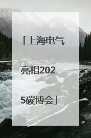 上海电气亮相2025碳博会
