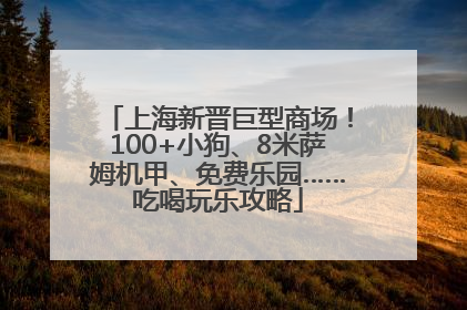 上海新晋巨型商场！100+小狗、8米萨姆机甲、免费乐园……吃喝玩乐攻略