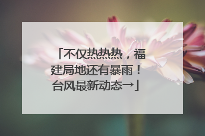 不仅热热热，福建局地还有暴雨！台风最新动态→
