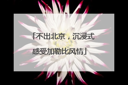 不出北京，沉浸式感受加勒比风情