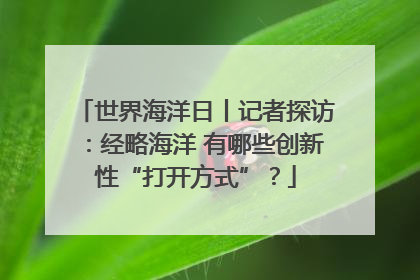 世界海洋日丨记者探访：经略海洋 有哪些创新性“打开方式”？