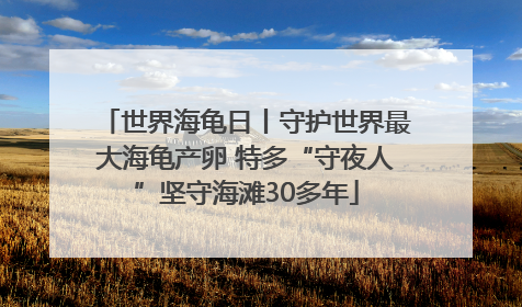 世界海龟日丨守护世界最大海龟产卵 特多“守夜人”坚守海滩30多年
