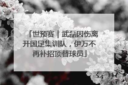 世预赛｜武磊因伤离开国足集训队，伊万不再补招顶替球员