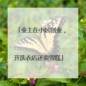 业主在小区创业，开洗衣店还卖雪糕