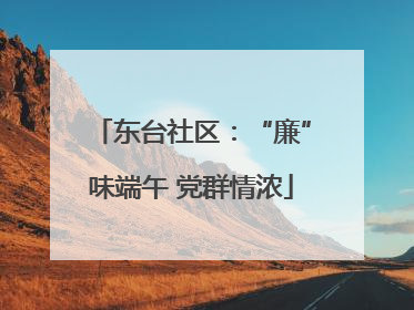 东台社区：“廉”味端午 党群情浓