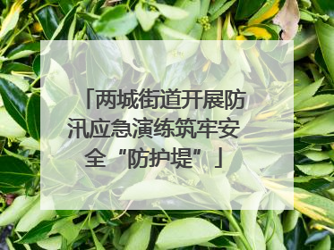 两城街道开展防汛应急演练筑牢安全“防护堤”