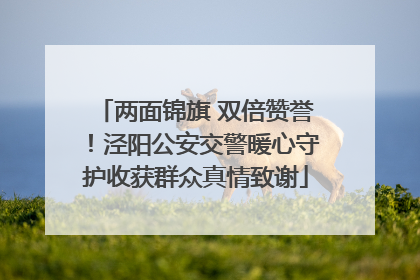 两面锦旗 双倍赞誉！泾阳公安交警暖心守护收获群众真情致谢