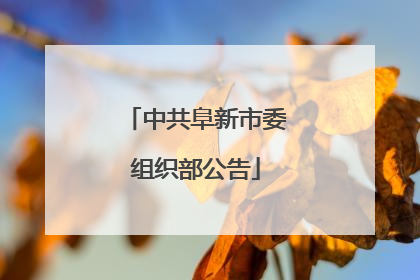 中共阜新市委组织部公告